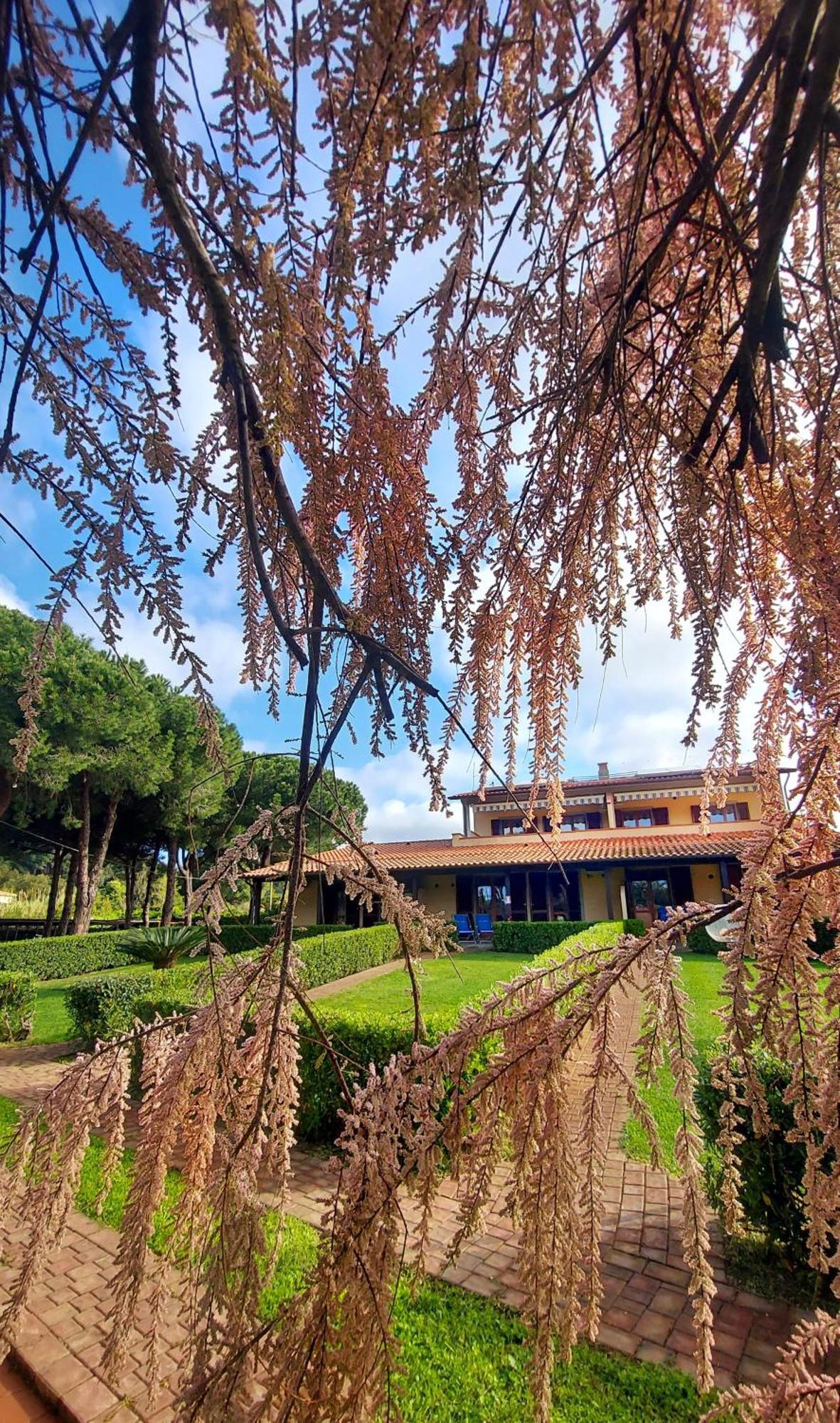 Lido Azzurro Residence Rta Capoliveri  Luaran gambar